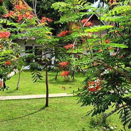 Namaste Bungalows Sakti Exteriér fotografie